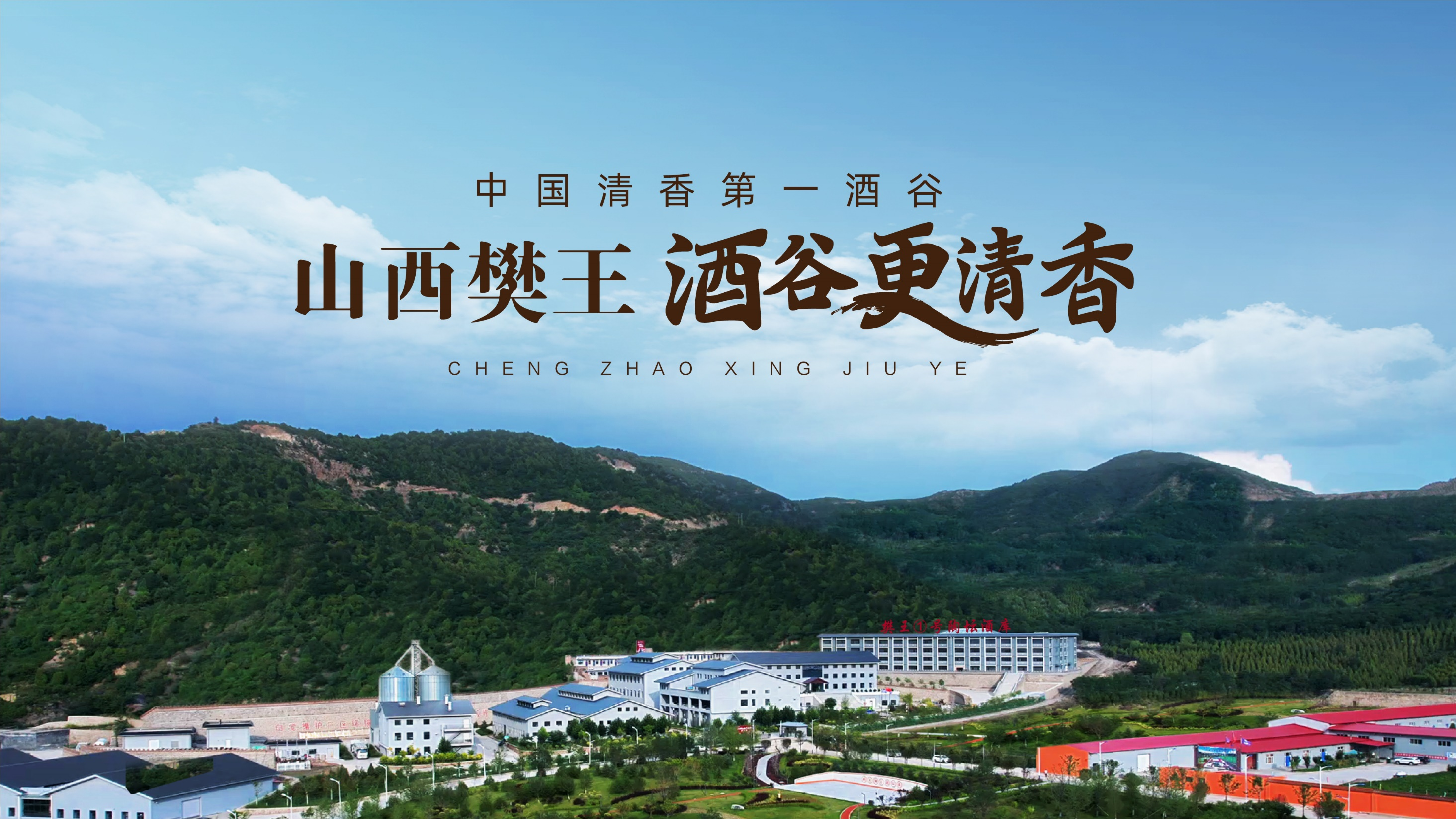 （图为樊王酒谷实拍图）