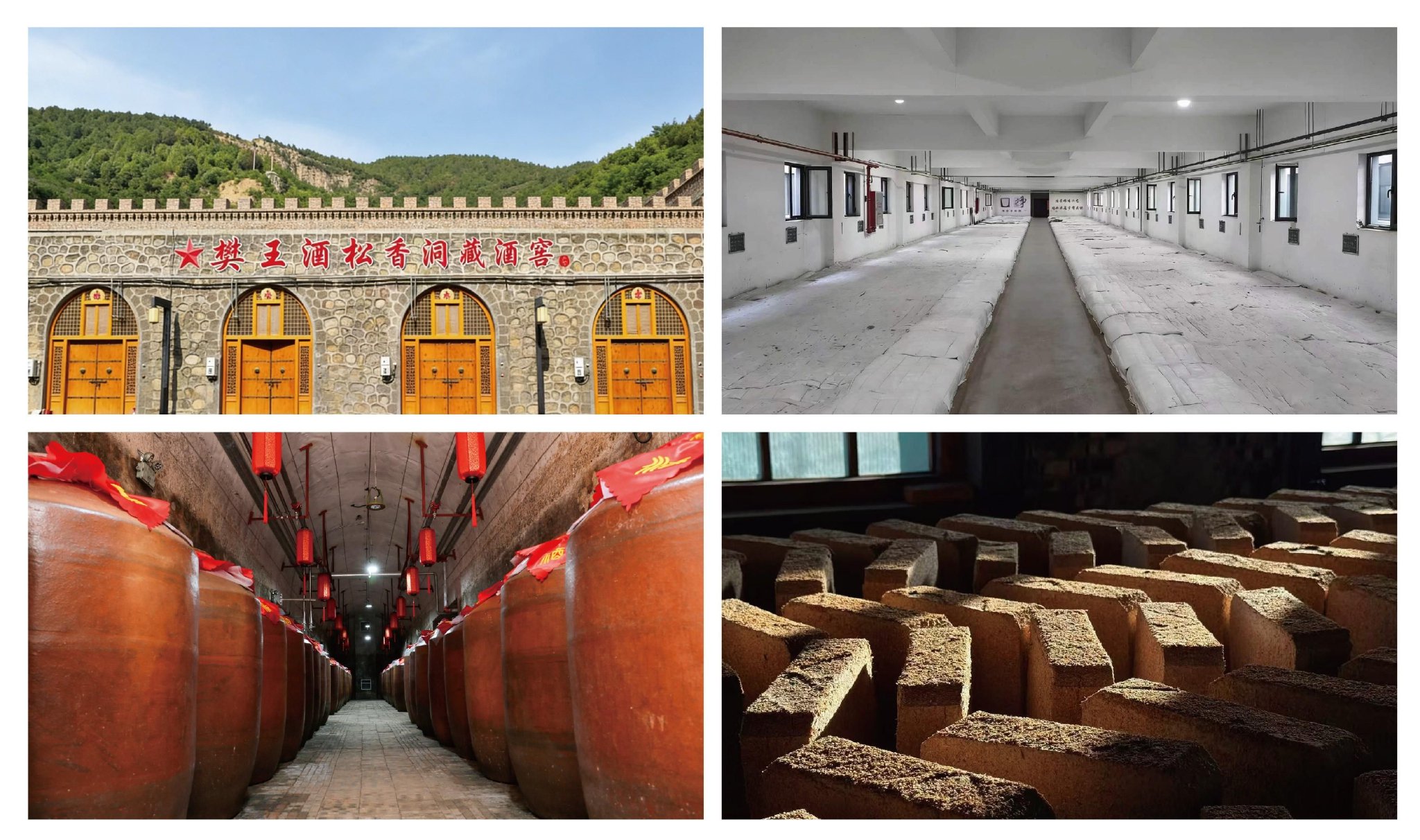 （图为樊王酒厂实拍图）