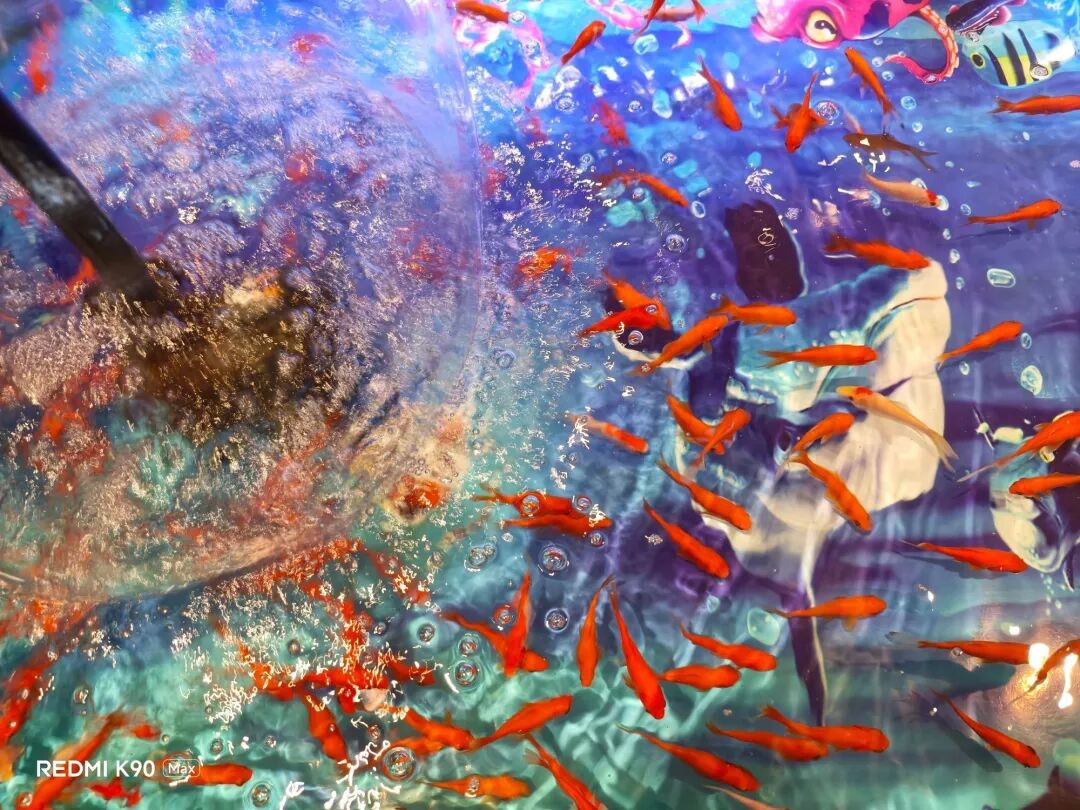 REDMI K90 Max全面评测：出道即巅“风”