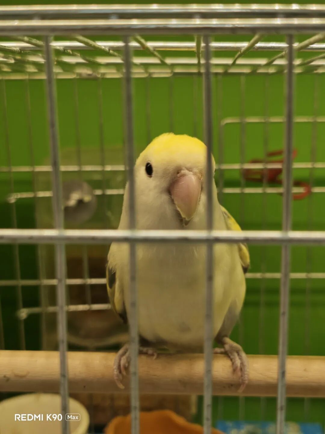 REDMI K90 Max全面评测：出道即巅“风”