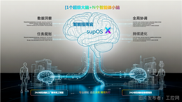 大脑+小脑.png