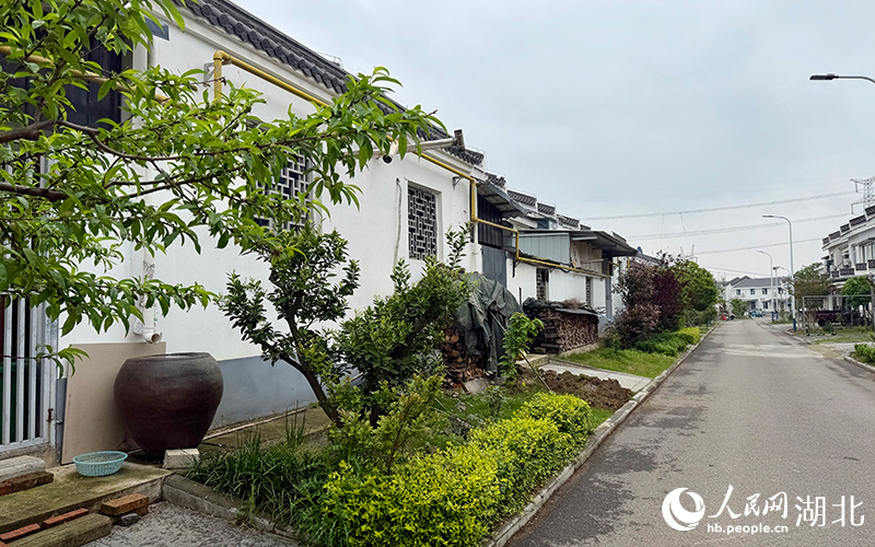 帅店新社区环境优美。人民网记者 张沛摄