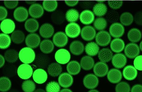 72f05db2-3c4e-11f1-ab55-92fbcf53809c.png