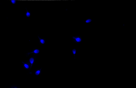 732c2338-3c4e-11f1-ab55-92fbcf53809c.png