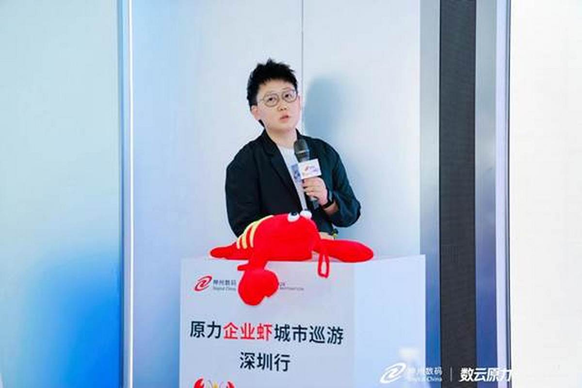 山石网科资深售前工程师 李玉01