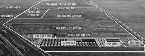 受访者供图