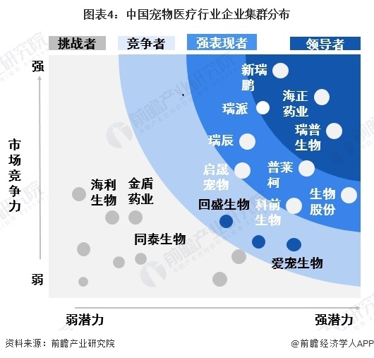 图表4:中国宠物医疗行业企业集群分布