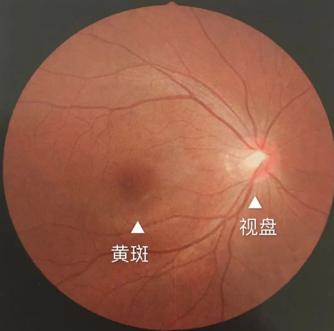 一文读懂圆偏光技术：圆偏光vs线偏光 选显示器必看科普