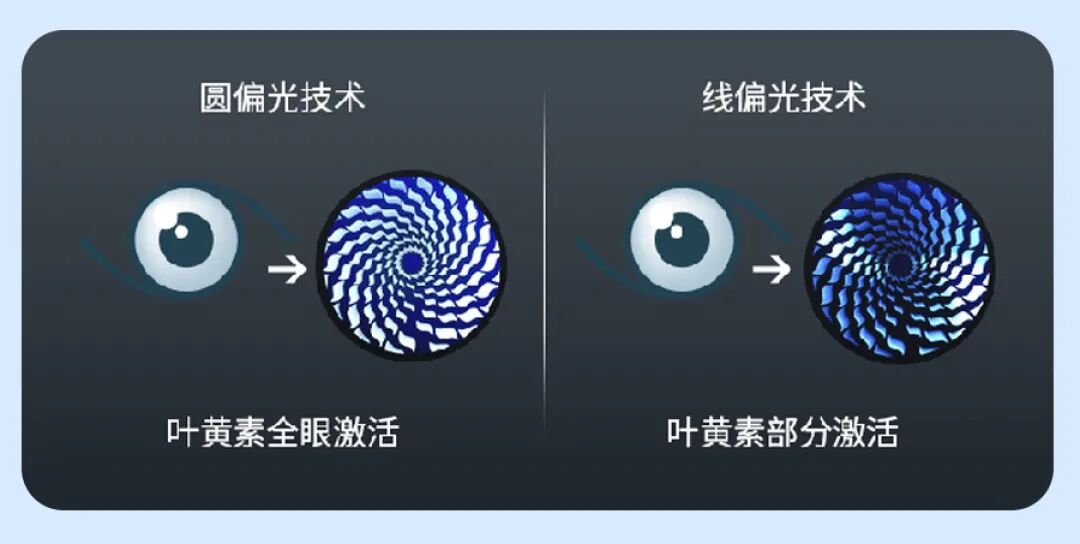 一文读懂圆偏光技术：圆偏光vs线偏光 选显示器必看科普