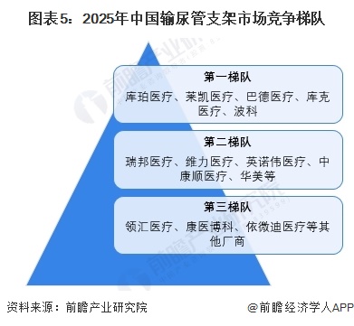 图表5:2025年中国输尿管支架市场竞争梯队