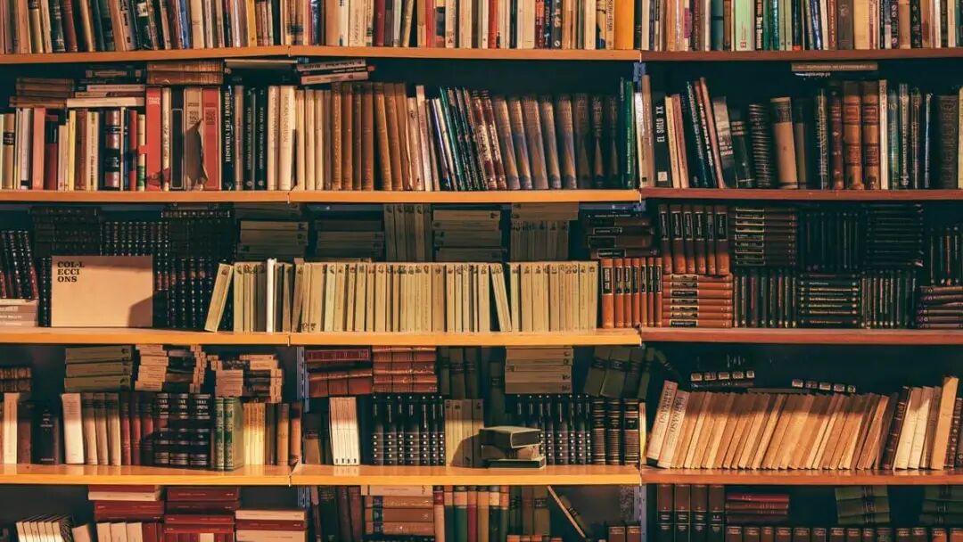The Best Books for Students: An Essential Reading List for College