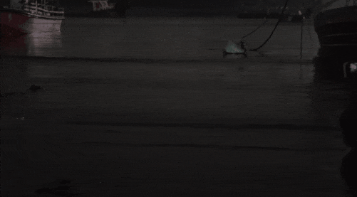 7.gif