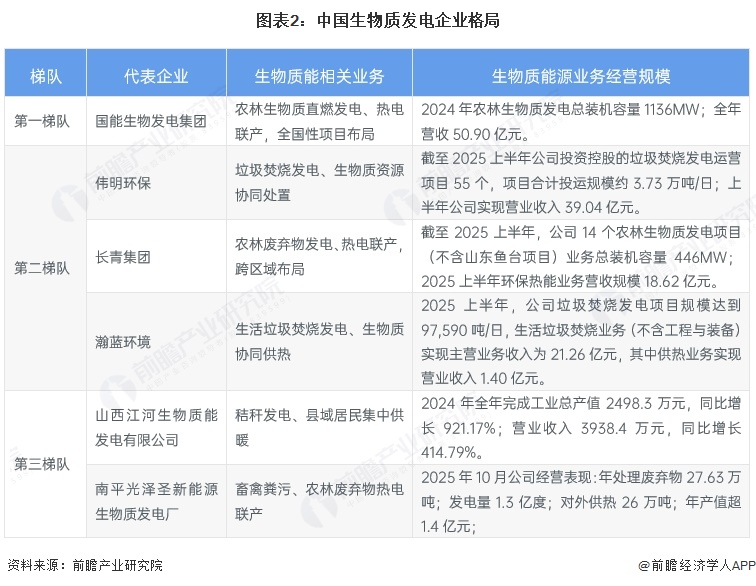图表2：中国生物质发电企业格局