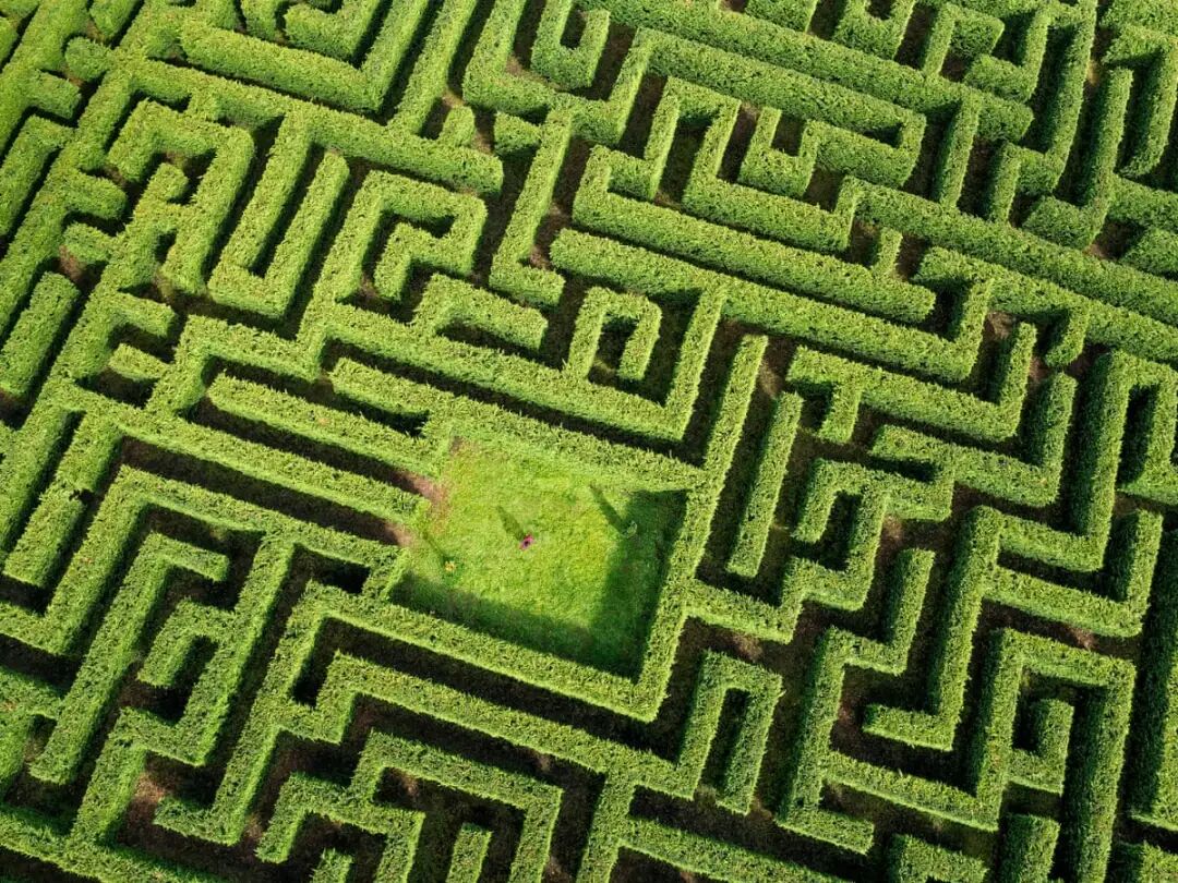 Totes a maze! How a forester turned his financial crisis into an  eco-friendly puzzle | Spain holidays | The Guardian