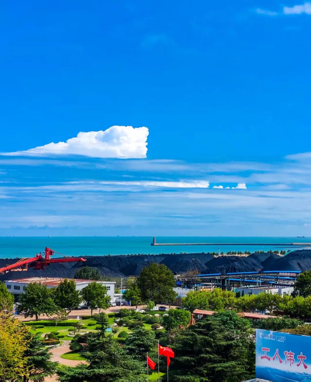 港口之美＋二公司＋叶连俊＋天高任鸟飞，海阔凭鱼跃，港口绿意浓.jpg