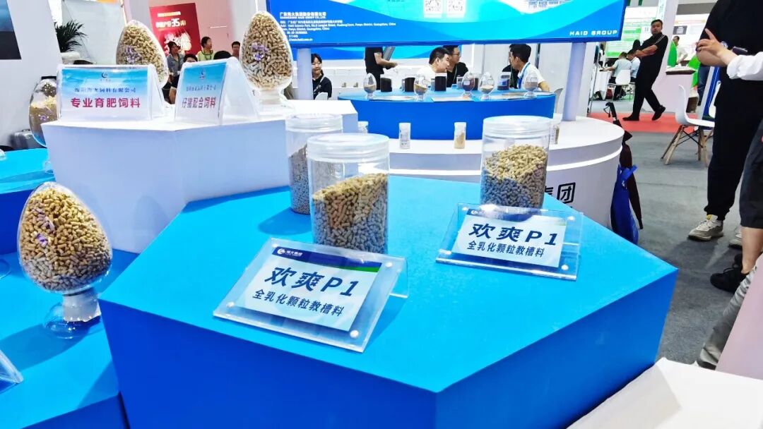 欢爽P1_副本.jpg
