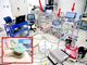 40テスラの磁場を「持ち運ぶ」 装置製作法も公開