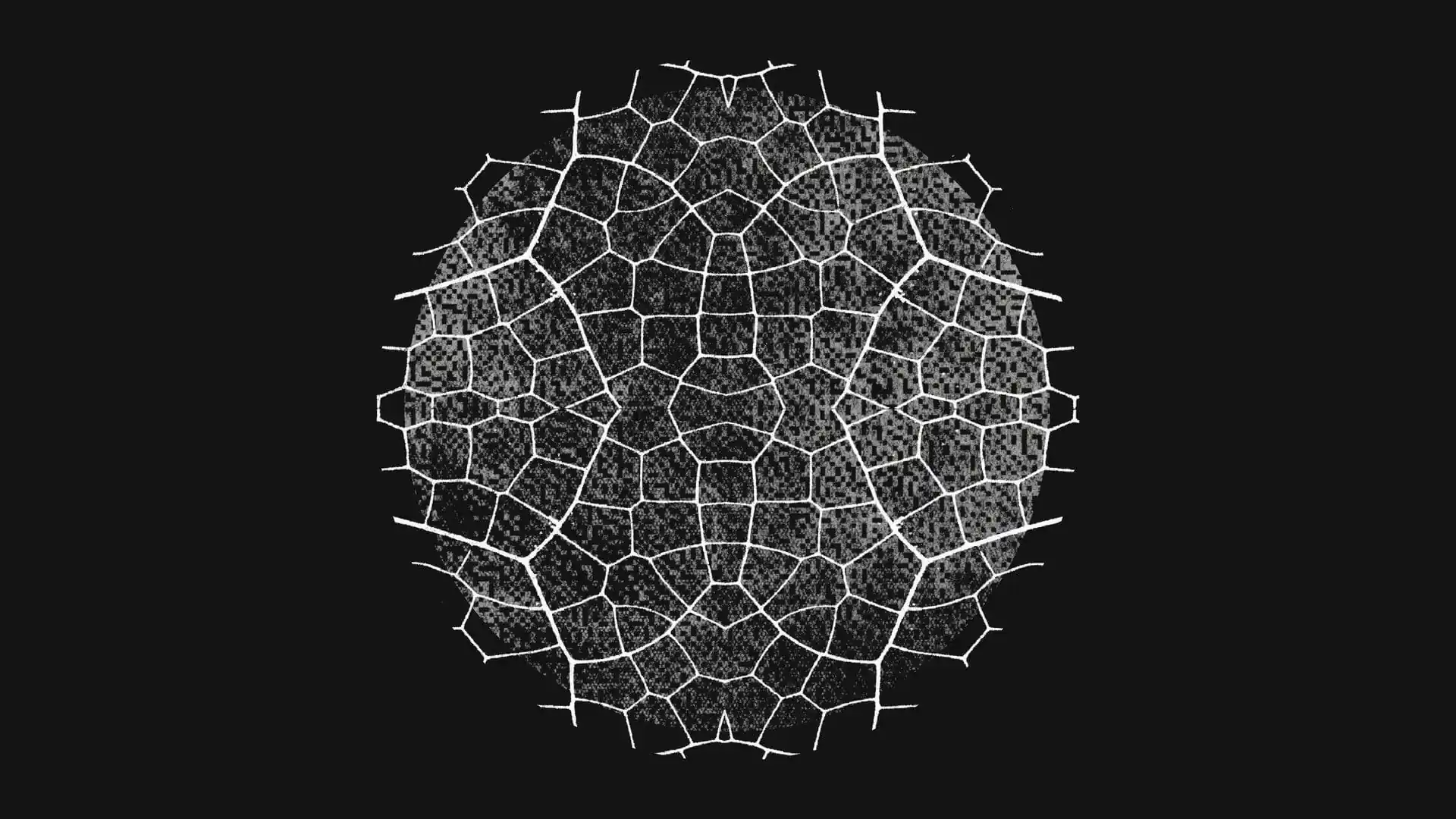 修不过来:Anthropic 披露 AI 抓虫首月战报,揪出超 1 万个高危漏洞