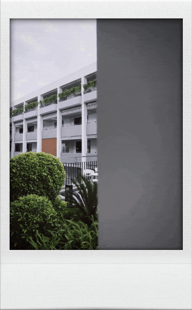 GIF_20260525_095602.gif