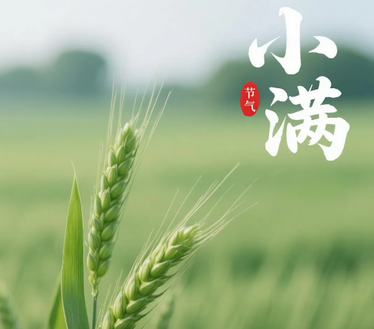 1fb18d85-c995-4726-8f94-a46b36ab45e2.png
