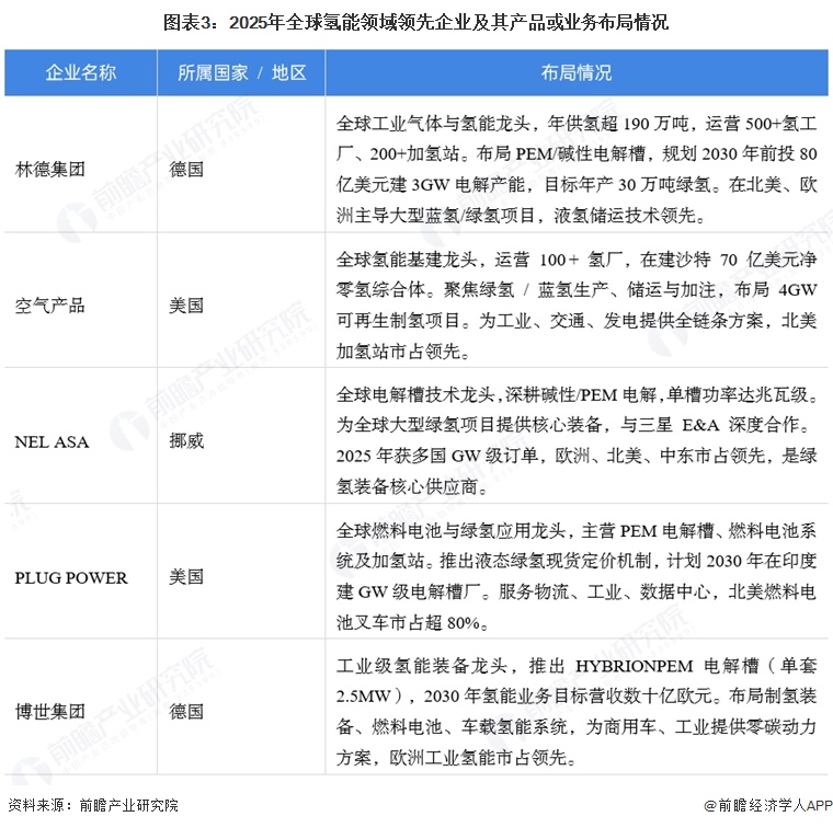 图表3：2025年全球氢能领域领先企业及其产品或业务布局情况