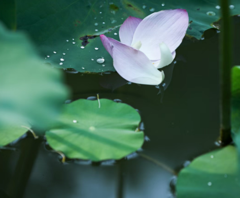 92838cdc-290f-4d88-aba1-b463fe5e5fb3.png