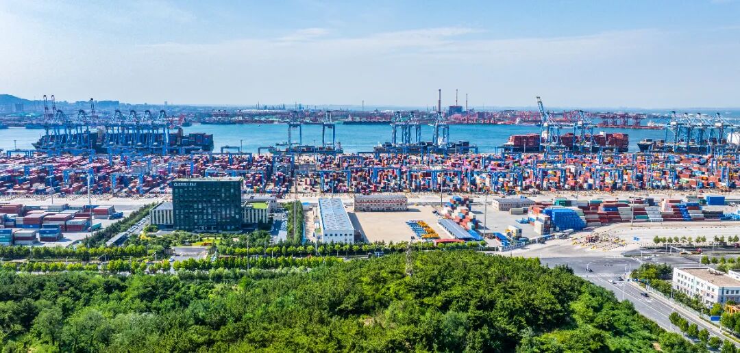 码头大景 (2).jpg