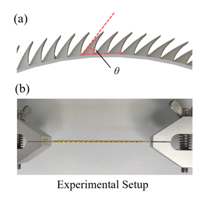 ICRA 2026 | 用于消化道微创活检的仿生剪纸胶囊机器人