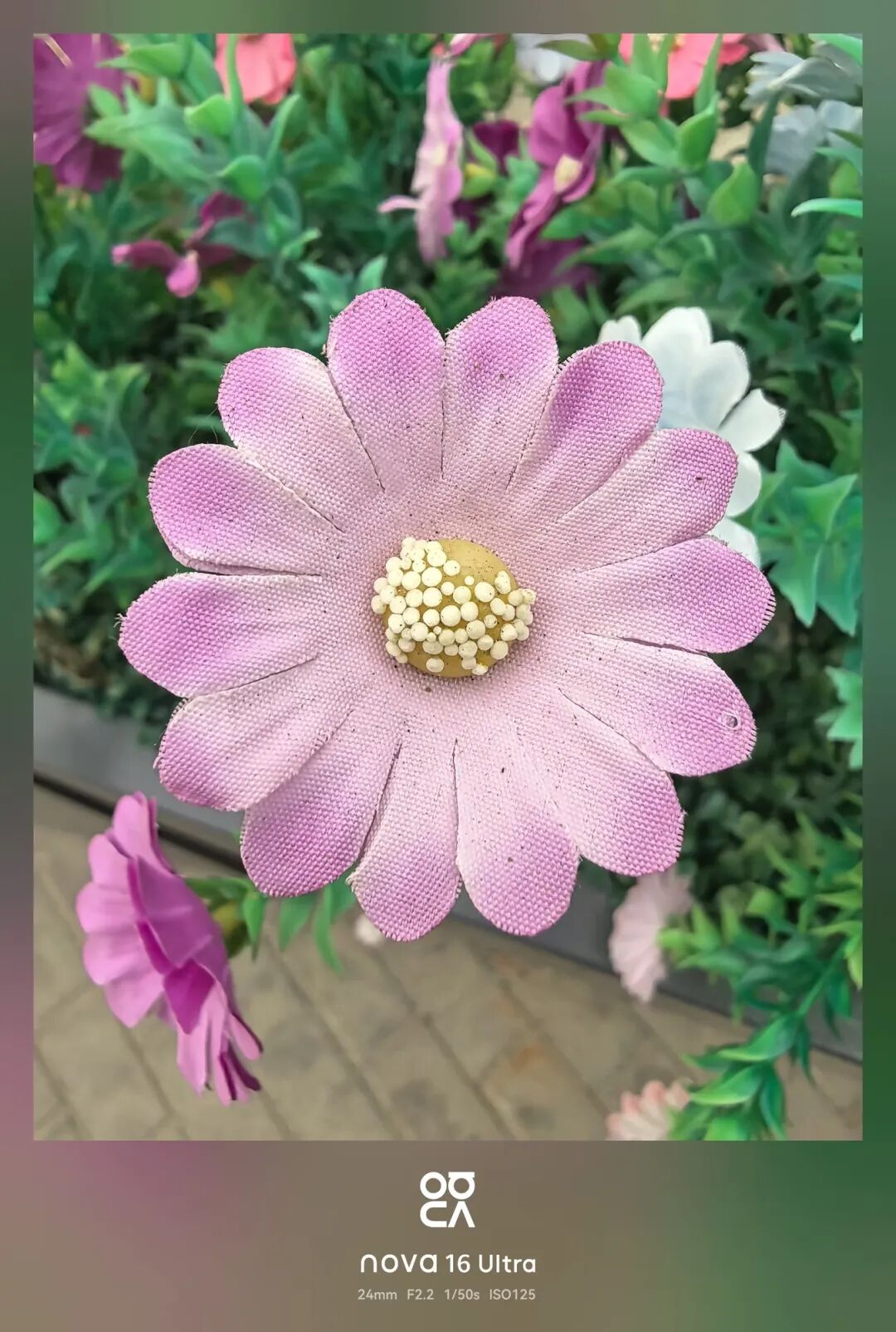 华为nova 16 Ultra评测：2亿红枫影像加持，中端机也开始上强度