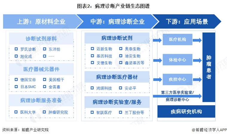 图表2:病理诊断产业链生态图谱