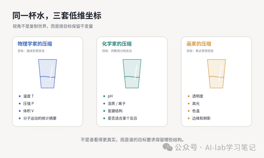 同一杯水的三种压缩：物理、化学和审美
