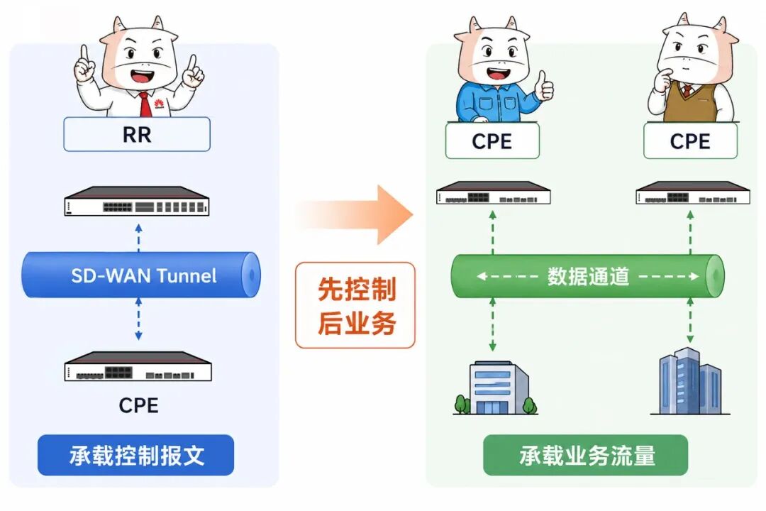 e95dd442-6e22-11f1-90a1-92fbcf53809c.jpg