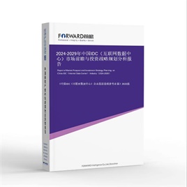 2025-2030年中国IDC（互联网数据中心）市场前瞻与投资战略规划分析报告