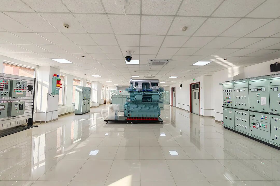 05.jpg