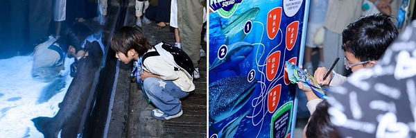 首批海洋生物救援小队员们认真完成任务卡挑战 首批海洋生物救援小队员们认真完成任务卡挑战