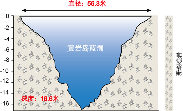 存在至少3200年！我国管辖海域发现世界罕见珊瑚礁蓝洞