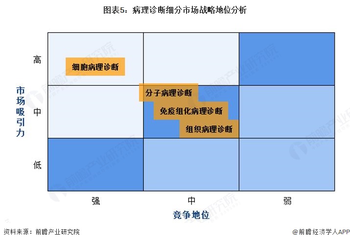 图表5:病理诊断细分市场战略地位分析