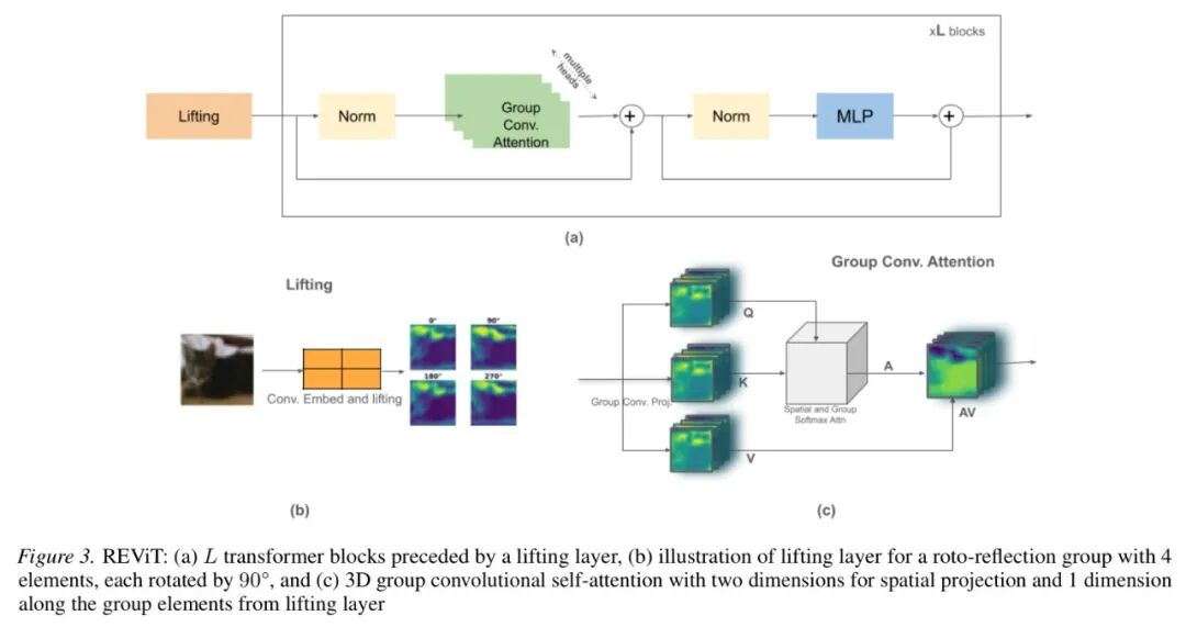 ICML 2026 REViT 发布 | 这可能是这个 Transformer 时代,CNN最后的体面