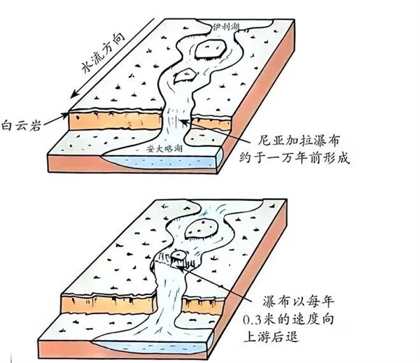 淡水鱼被冲入大海后去哪了、还能活吗?