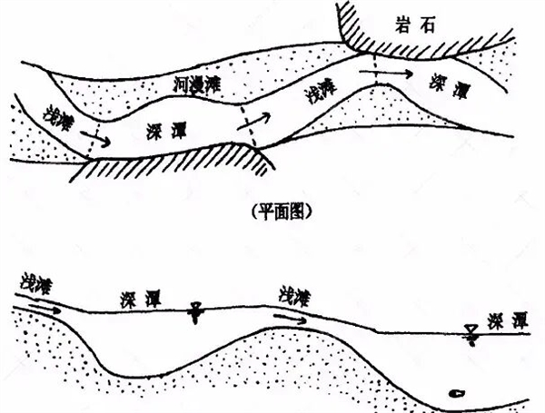 淡水鱼被冲入大海后去哪了、还能活吗?