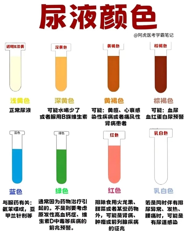 晨起第一泡尿变颜色 可能是身体在呼救!赶快自检