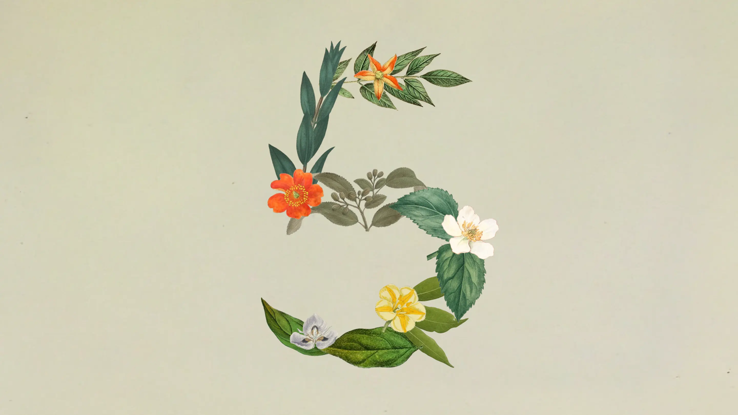 系列最强智能体 AI 模型:Claude Sonnet 5 登场,部分性能逼近 Opus 4.8