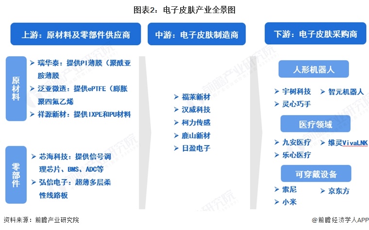 图表2:电子皮肤产业全景图