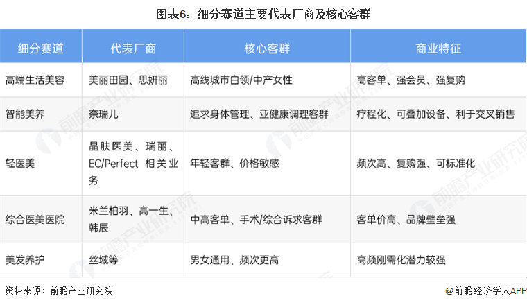 图表6:细分赛道主要代表厂商及核心客群
