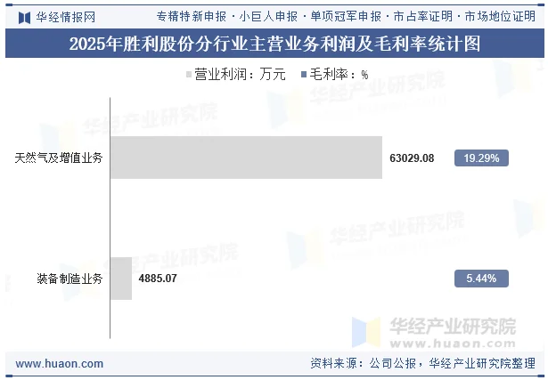 2025年胜利股份分行业主营业务利润及毛利率统计图