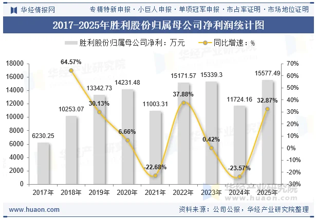2017-2025年胜利股份归属母公司净利润统计图