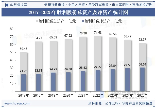 2017-2025年胜利股份总资产及净资产统计图