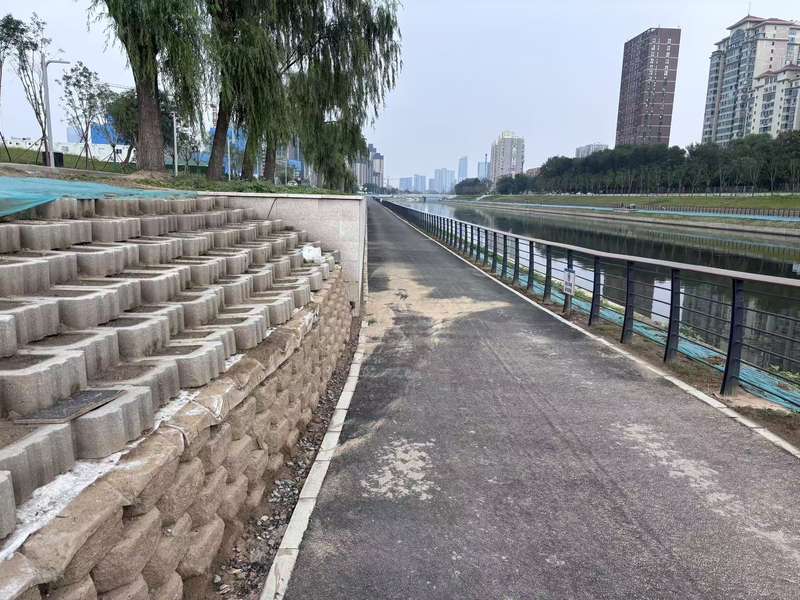 雨水冲刷土壤，导致泥沙在地面堆积。新京报记者 展圣洁 摄