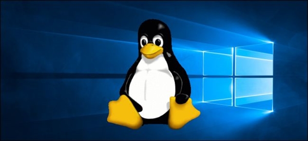 Windows有的Linux也要有！AMD把OLED自适应省电功能搬过来