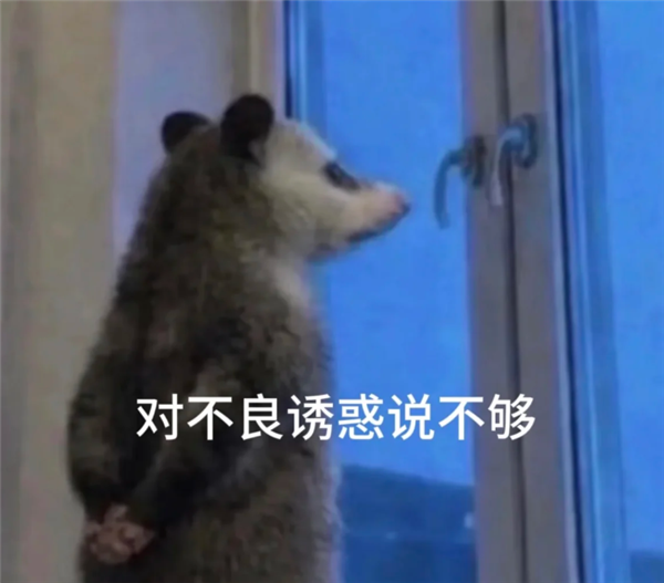 大厂们冲进香港之后 我开始心疼以前的香港人了